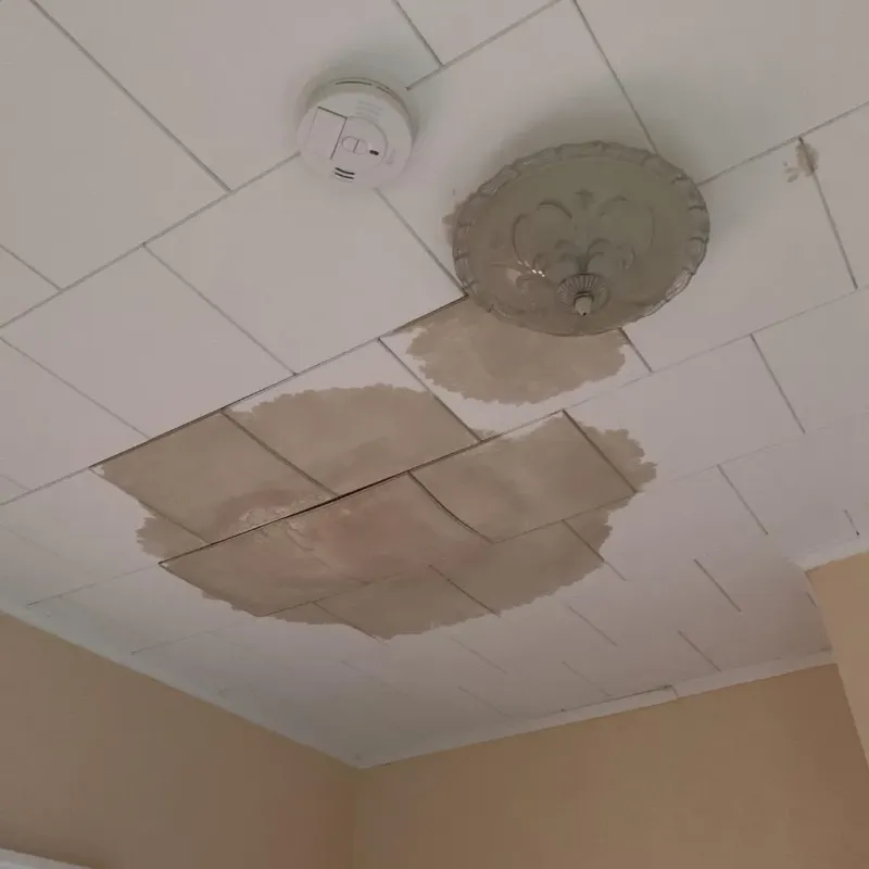 Ceiling Water Damage Repair in Oak Ridge North, TX