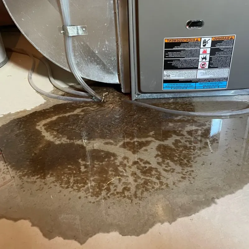 Pipe Burst and Leak Restoration in Oak Ridge North, TX