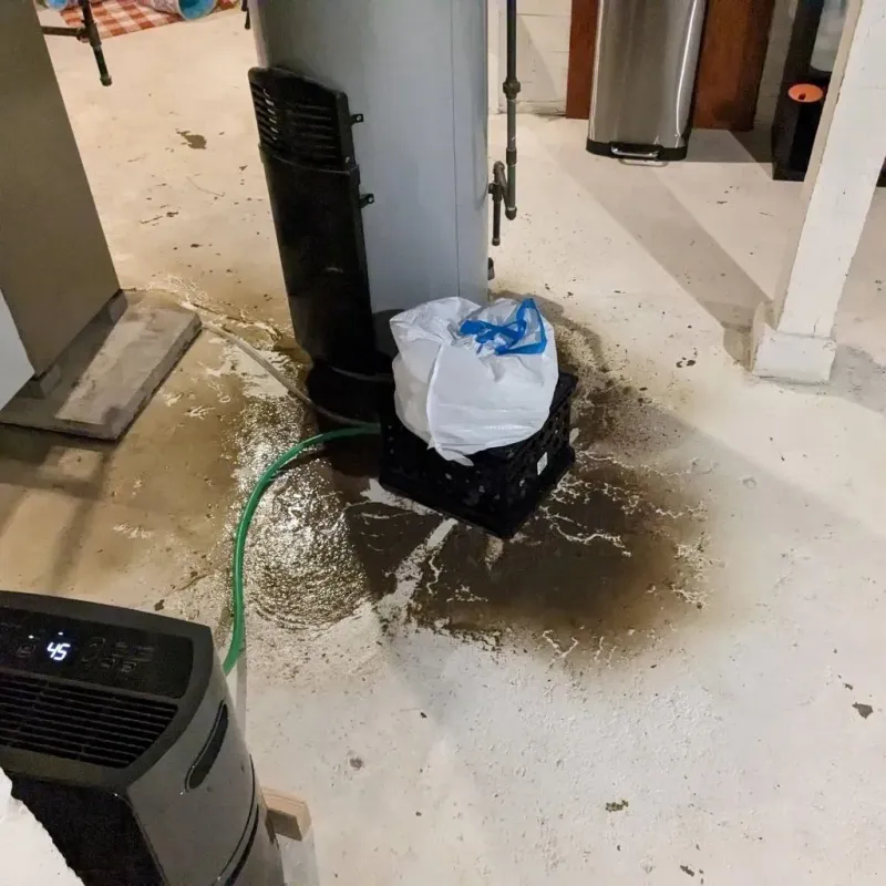 Sewage Backup Cleanup Service in Oak Ridge North, TX